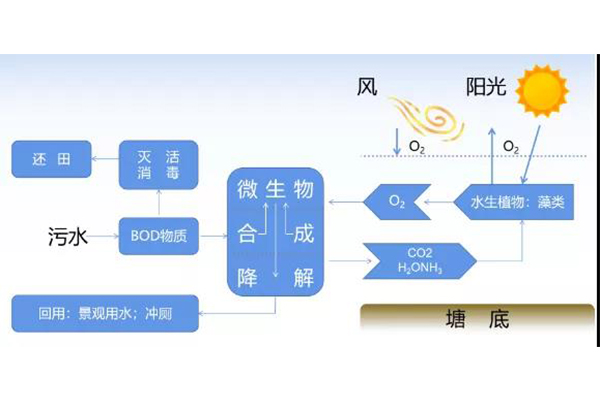 1629256728113923.jpg 7.jpg