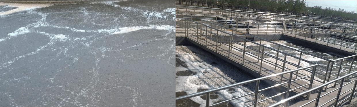 1718097842208097.png 1718097842208097.png